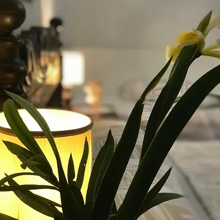 Apartment Stibbert *