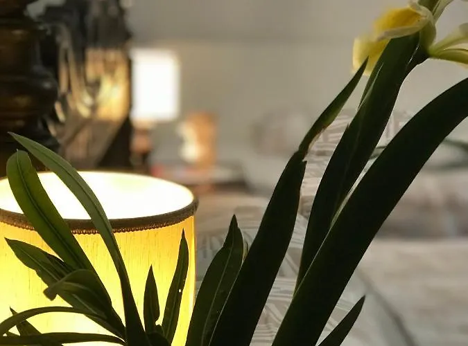 Apartamento Stibbert *